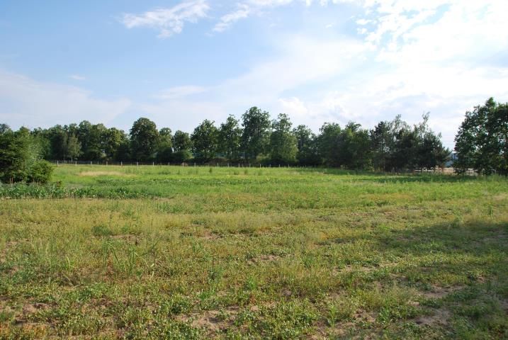 Działka rolno-budowlana Wrocław Psie Pole, ul. Zagaje. Zdjęcie 3