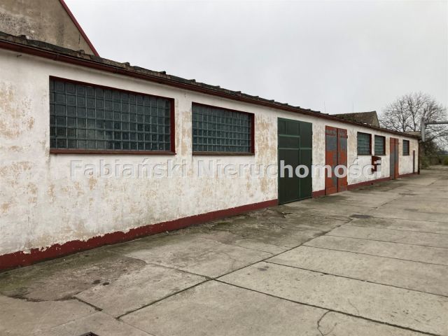 Hala/magazyn Lubiechowo. Zdjęcie 3