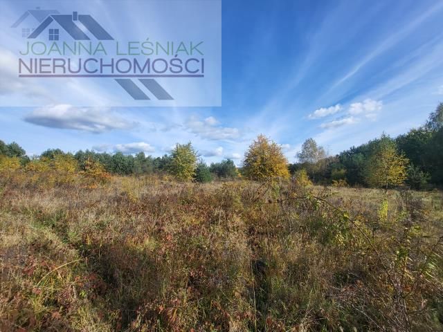 Działka budowlana Chechło. Zdjęcie 1