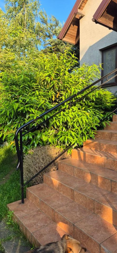 dom wolnostojący, 5 pokoi Sadów Kopce, ul. Powstańców Śląskich. Zdjęcie 65