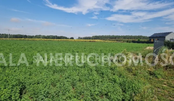 Działka budowlana Mochle