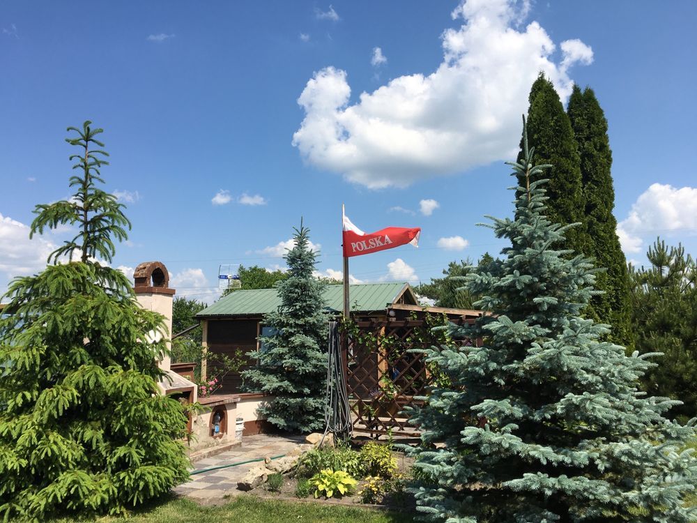 Działka rekreacyjna Chełm, ul. Bursztynowa
