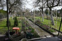 Działka rod Bytom. Zdjęcie 2