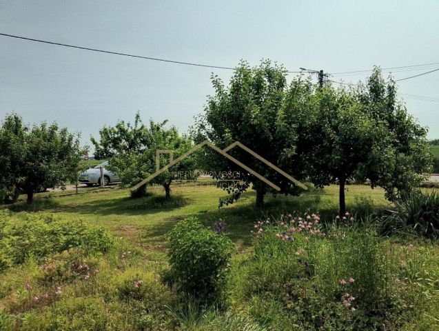 siedlisko Bonów. Zdjęcie 12