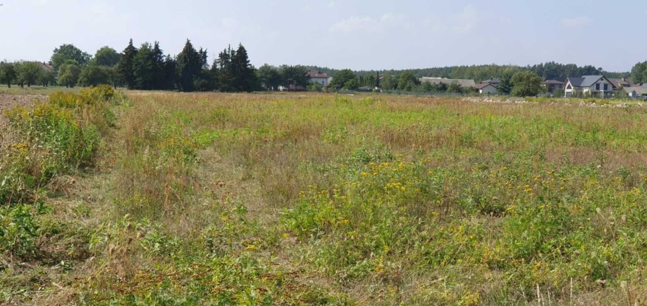 Działka budowlana Dąbrówka. Zdjęcie 1