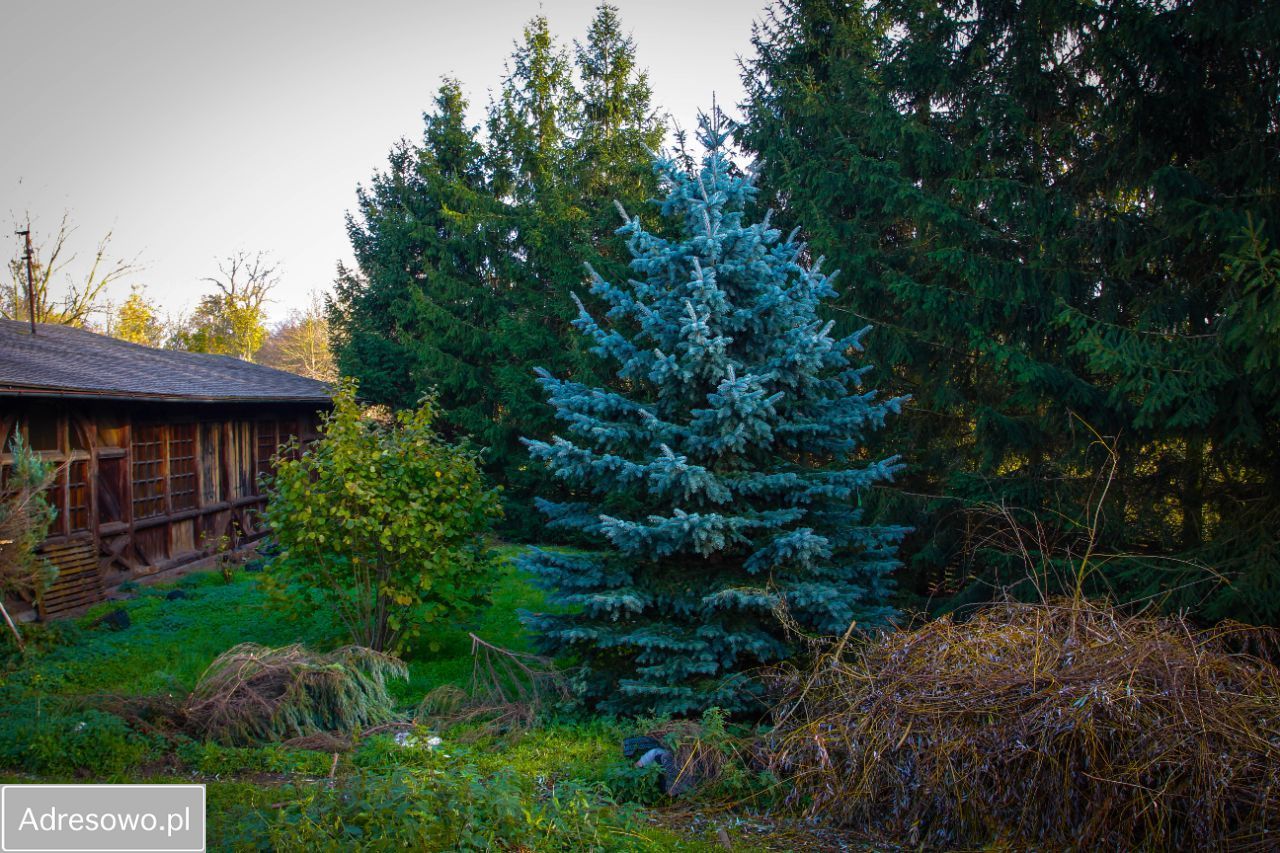 dom szeregowy, 7 pokoi Wrocław Psie Pole, ul. Zaziębie. Zdjęcie 6