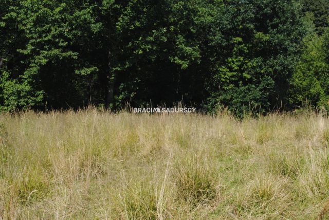 Działka budowlana Chorowice. Zdjęcie 12