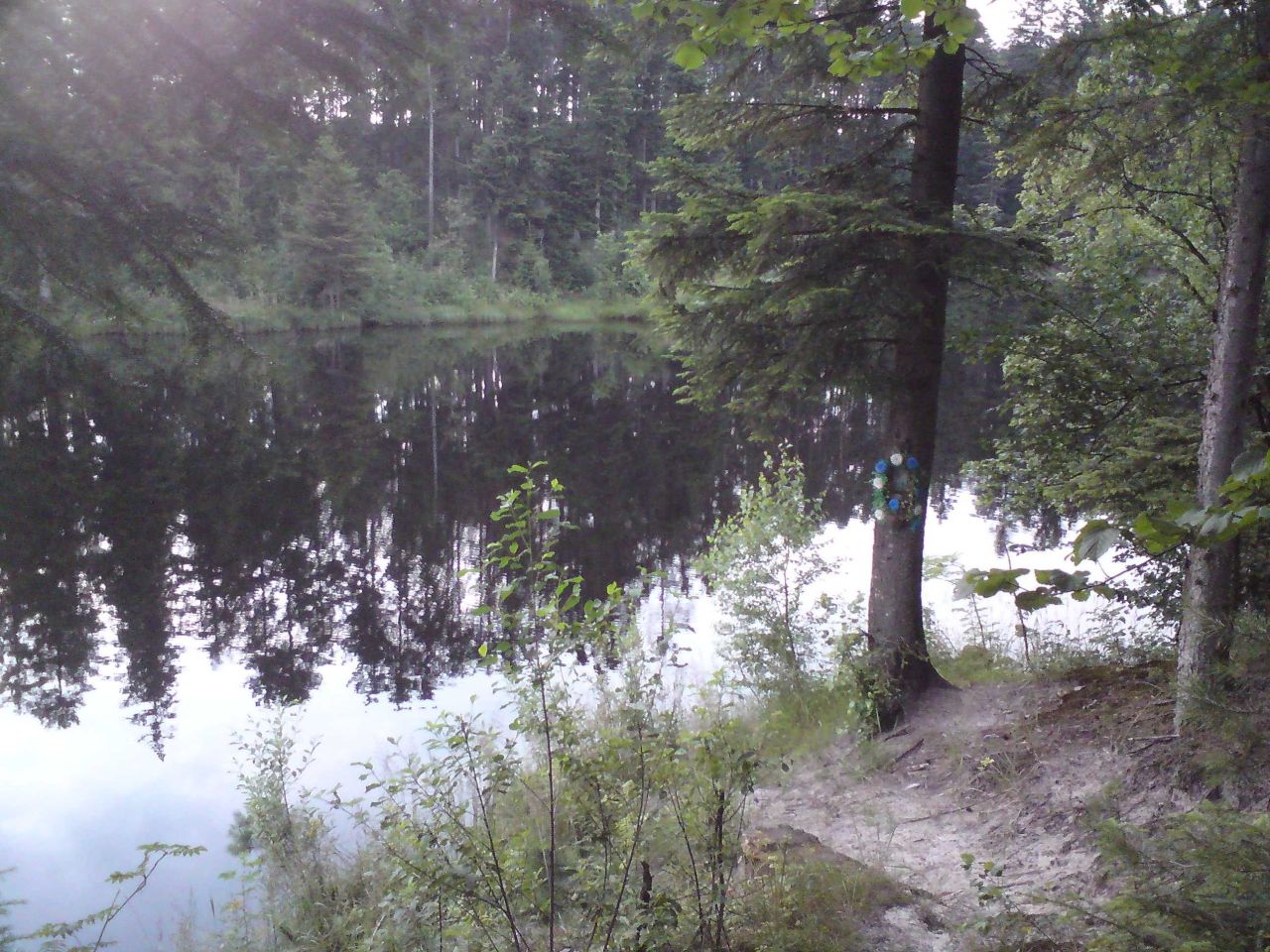 Działka rekreacyjna Górecko Kościelne. Zdjęcie 7