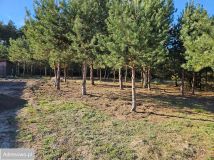 Działka budowlana Tomaszów Mazowiecki Podoba, ul. Torowa. Zdjęcie 4