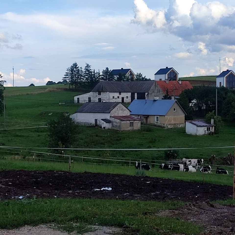 siedlisko, 4 pokoje Skomack Wielki. Zdjęcie 7