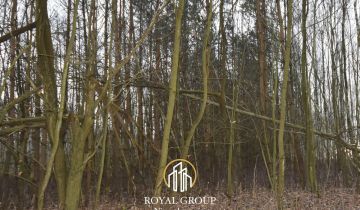 Działka leśna Jawidz Gajówka