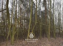 Działka leśna Jawidz Gajówka