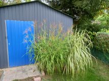 Działka rod Świdnica. Zdjęcie 1