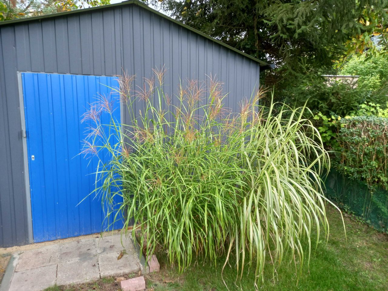 Działka rod Świdnica. Zdjęcie 2