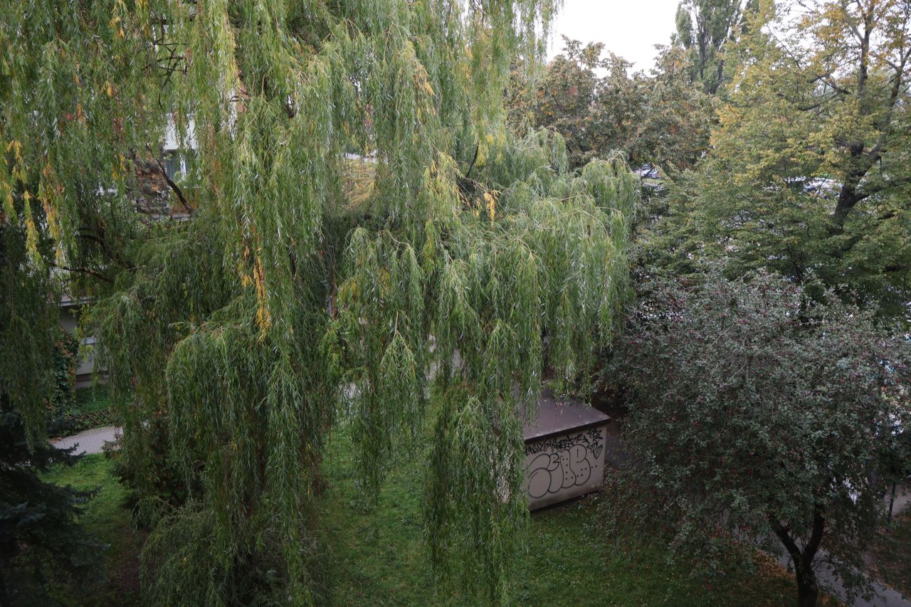 Mieszkanie 2-pokojowe Warszawa Okęcie, ul. Kazimierza Zarankiewicza. Zdjęcie 10