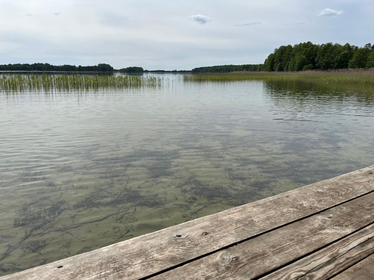 dom wolnostojący Elganowo. Zdjęcie 12
