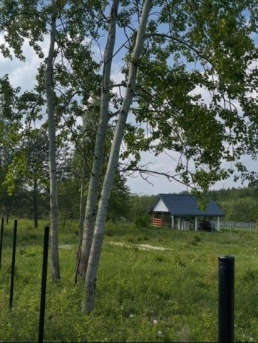 Działka rolna Grzybów. Zdjęcie 1