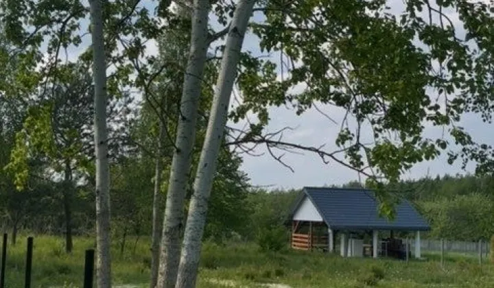 Działka rolna Grzybów