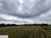 Działka rolna Pluty. Zdjęcie 4