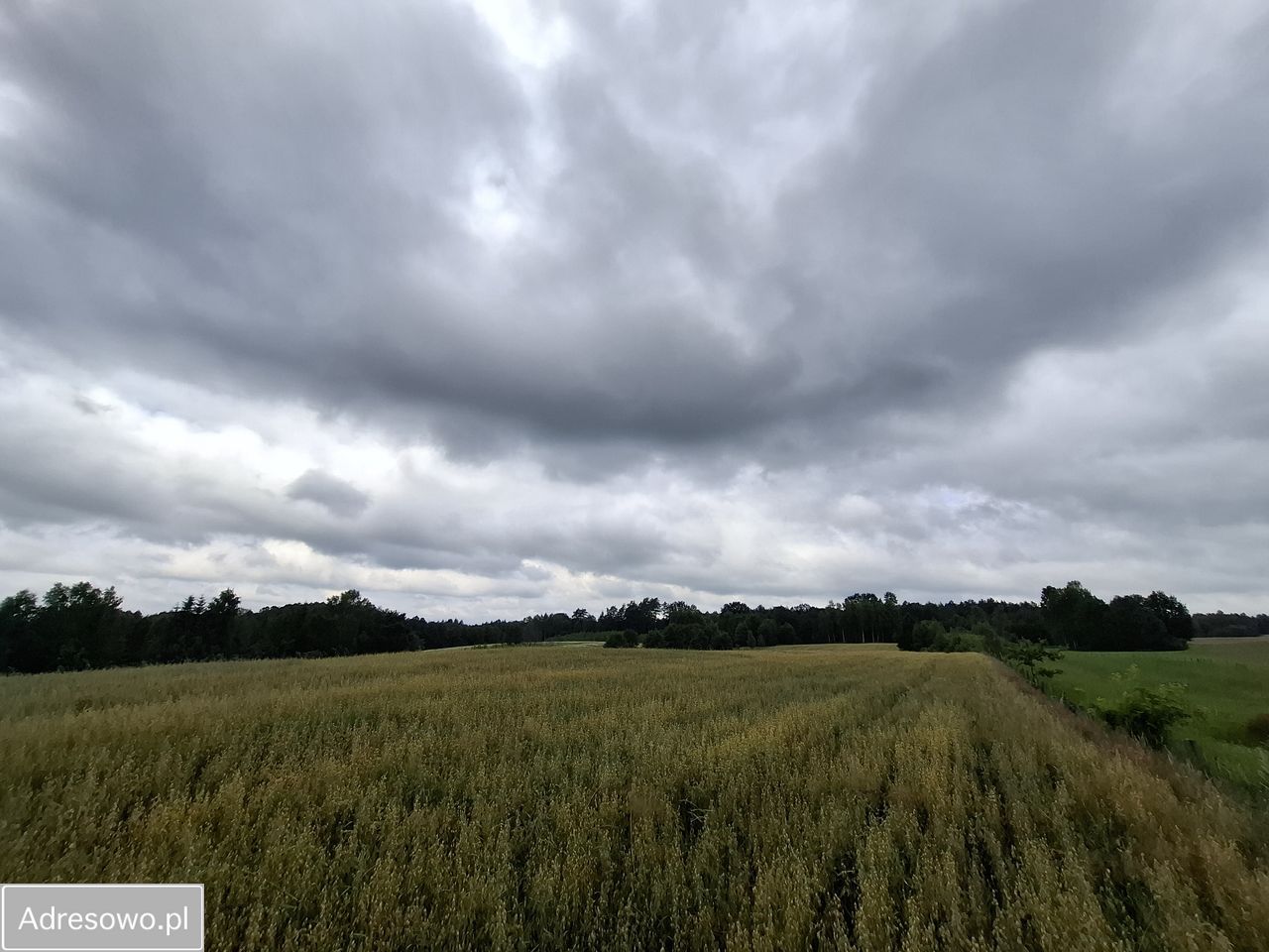 Działka rolna Pluty. Zdjęcie 5