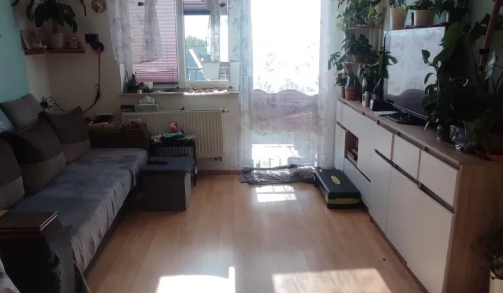 Mieszkanie 2-pokojowe Inowrocław Centrum, ul. Poznańska