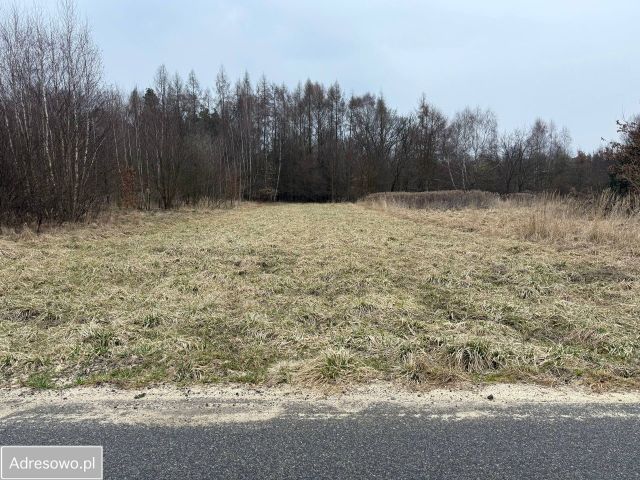 Działka budowlana Krzykawka, ul. Miodowa. Zdjęcie 1