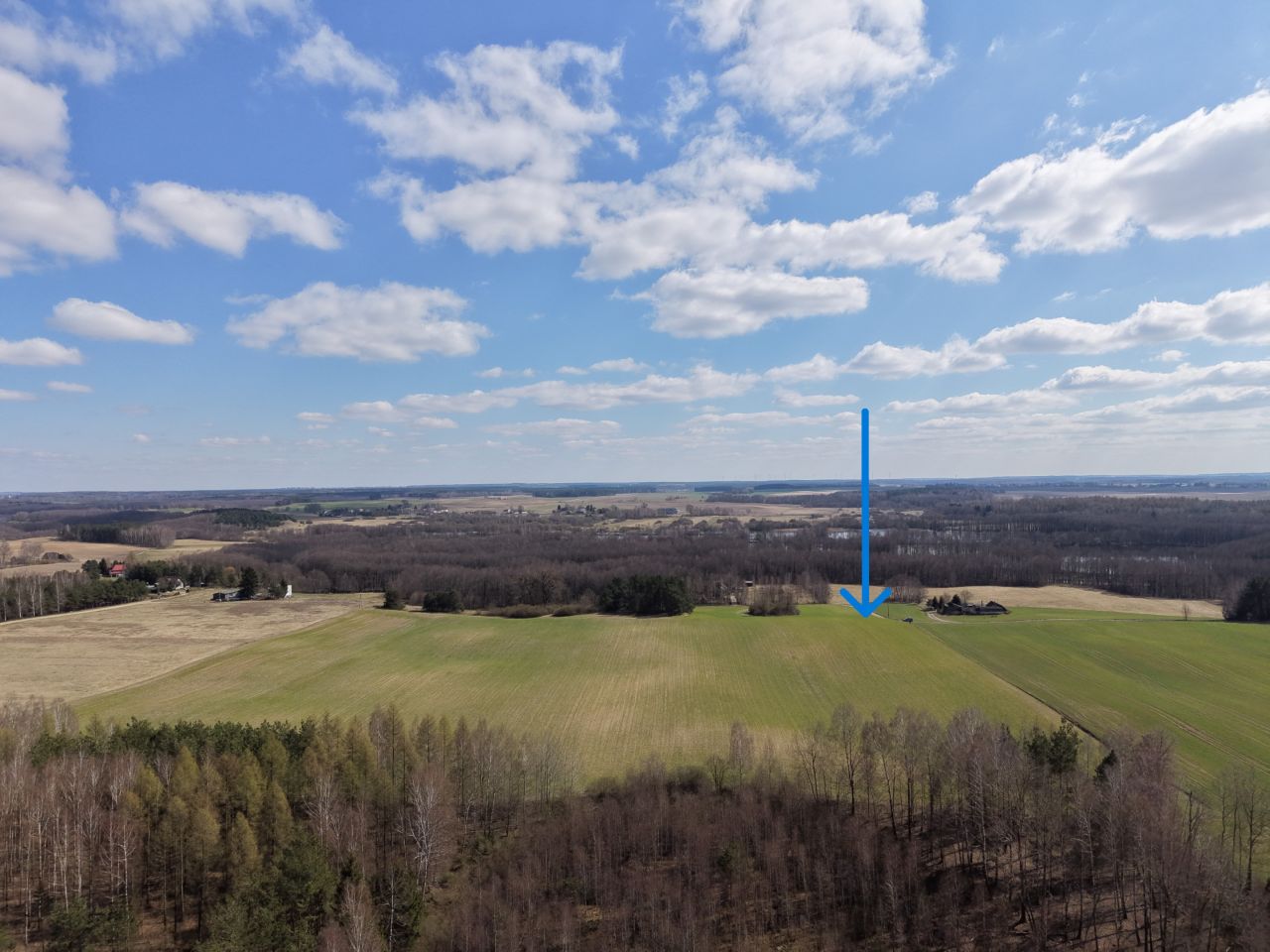 Działka budowlana Rybno, ul. Kolonia. Zdjęcie 2