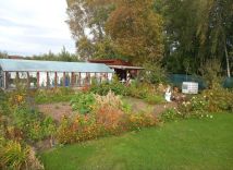 Działka rekreacyjna Ostrzeszów, ul. Kąpielowa. Zdjęcie 3