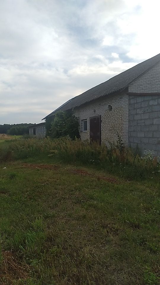 Hala/magazyn Rzechta Drużbińska. Zdjęcie 3