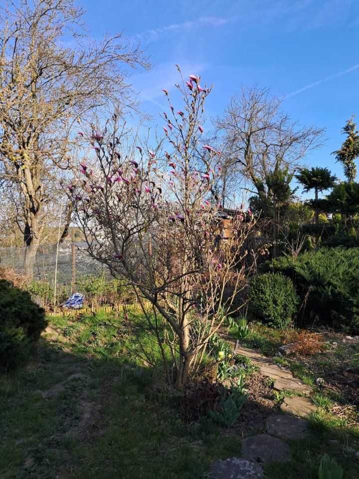 Działka rod Gorzów Wielkopolski. Zdjęcie 4