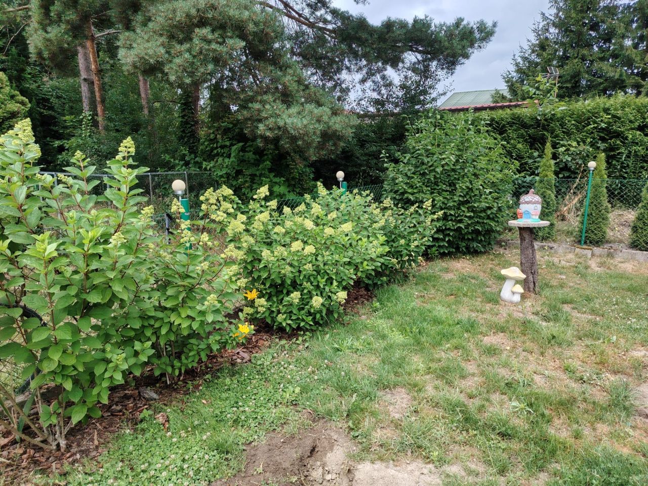 Działka rod Łódź Nowosolna, ul. Jana Kasprowicza. Zdjęcie 11