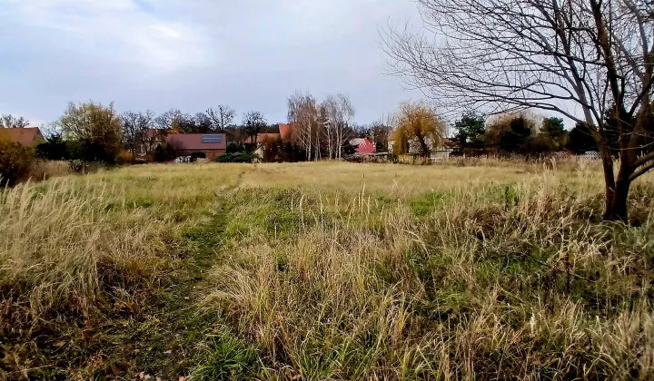 Działka budowlana Brzezina, ul. Willowa