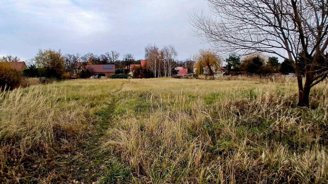 Działka budowlana Brzezina, ul. Willowa. Zdjęcie 1