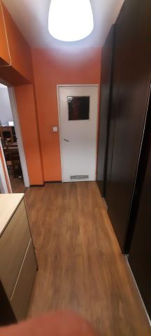 Mieszkanie 2-pokojowe Wrocław Śródmieście, w pobliżu Uniwersytetu Wrocławskiego. Zdjęcie 1