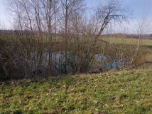 Działka siedliskowa Glebiska. Zdjęcie 4