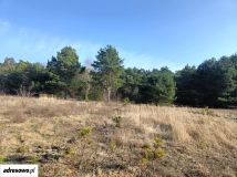 Działka rolno-budowlana Olszewnica Nowa, ul. Spacerowa. Zdjęcie 3