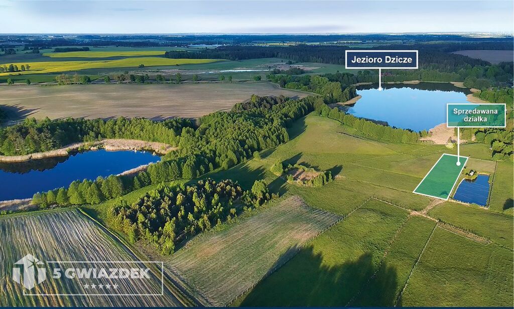 Działka rolna Dziki. Zdjęcie 3