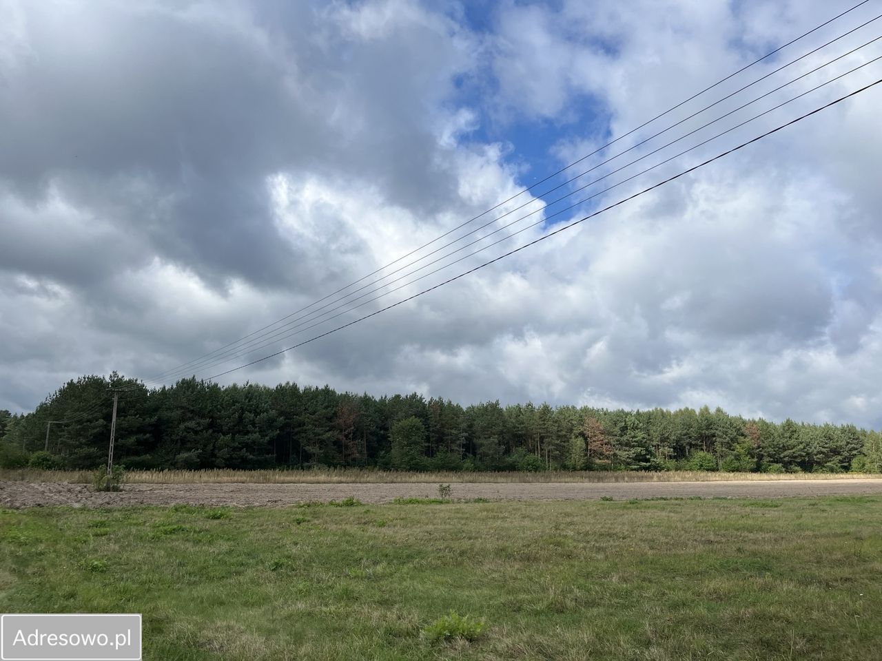 Działka leśna Bedlno. Zdjęcie 9