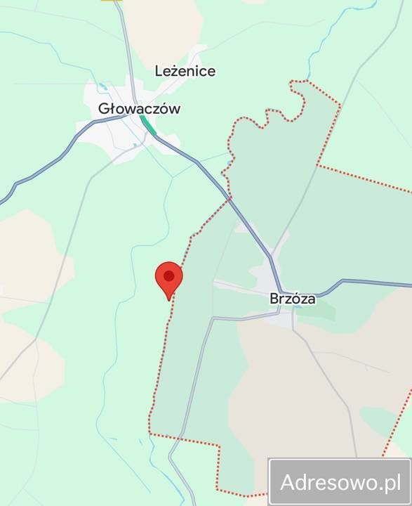 Działka rolna Brzóza. Zdjęcie 5