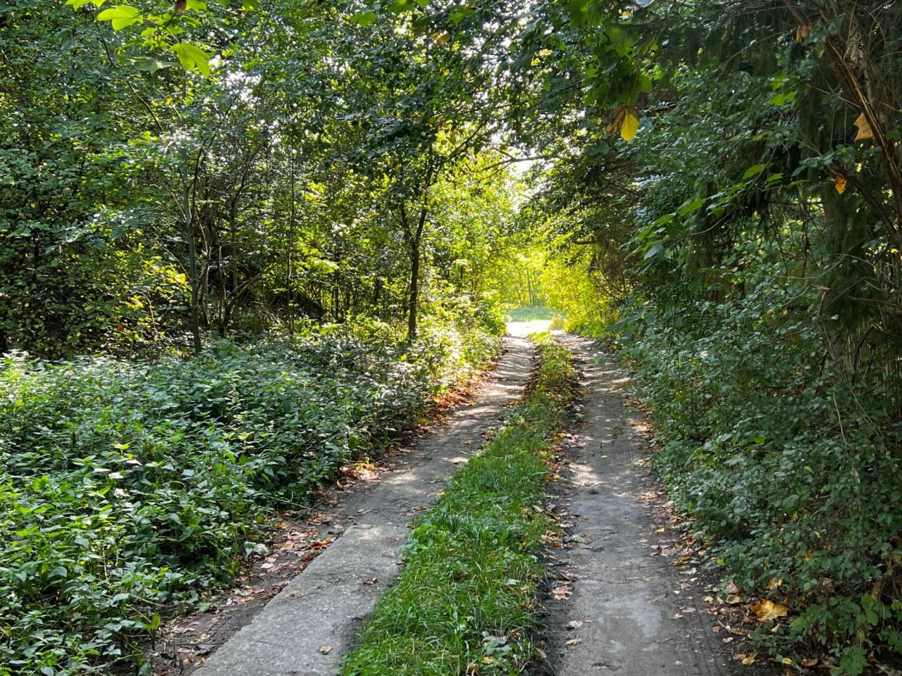 Działka budowlana Łęg Nurski. Zdjęcie 4