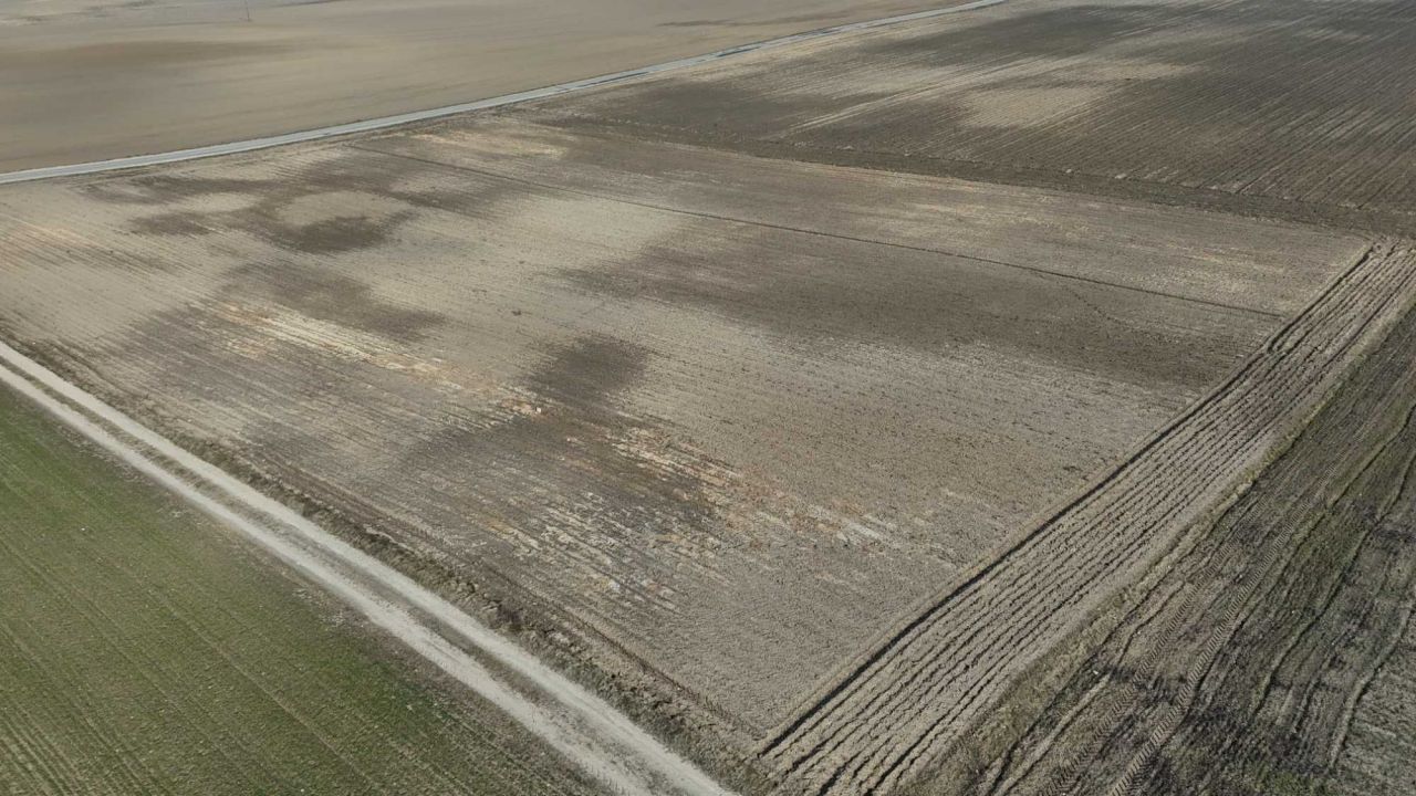 Działka budowlana Rybno. Zdjęcie 5