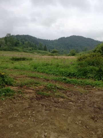 Działka rolna Buk. Zdjęcie 1