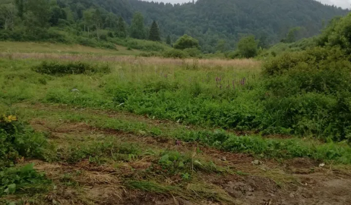 Działka rolna Buk, Buk