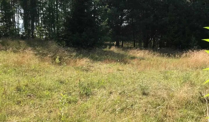 Działka budowlana Nowy Wiec