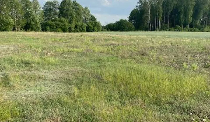 Działka budowlana Lubowidz