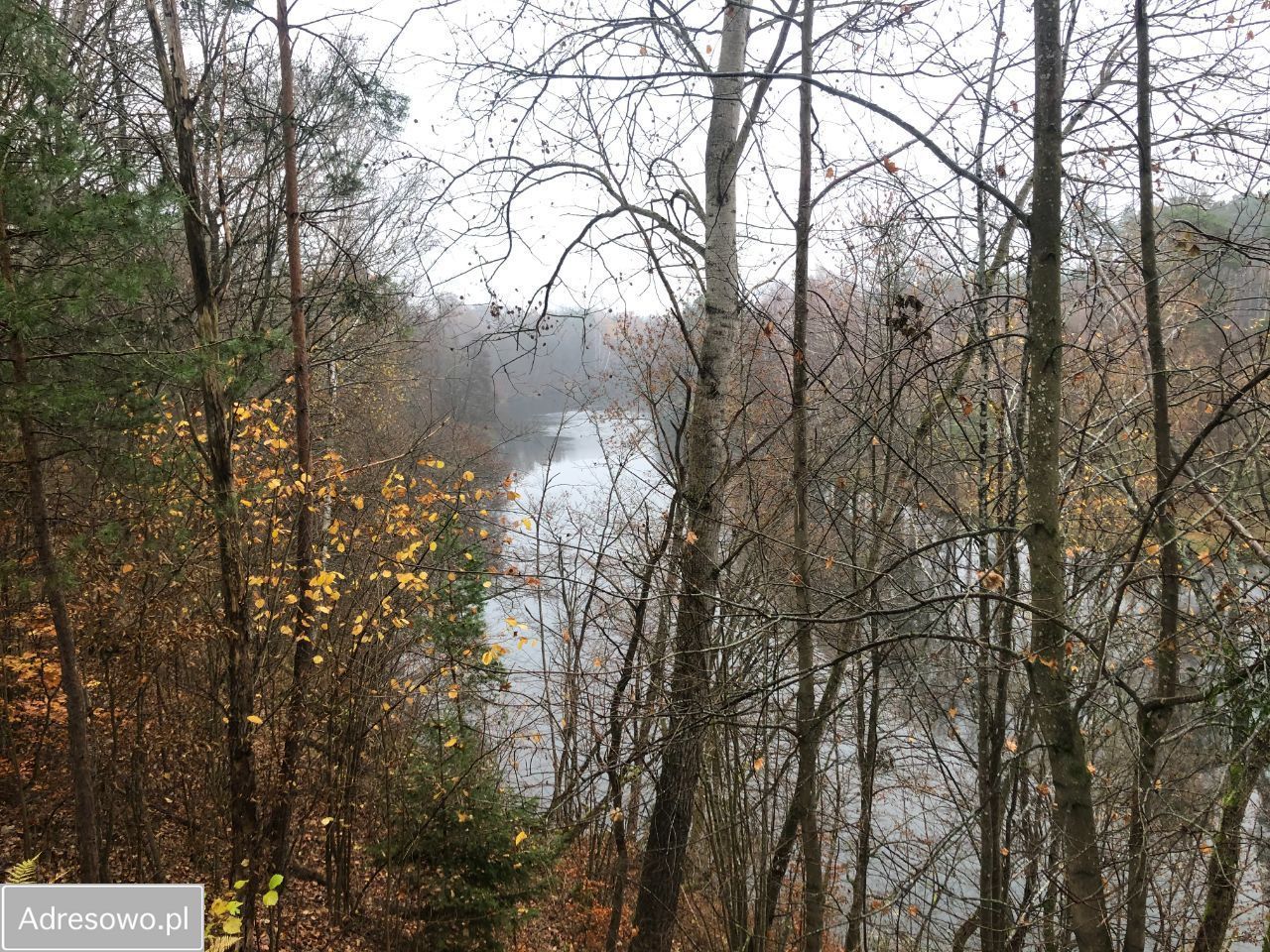 Działka leśna Piła. Zdjęcie 3