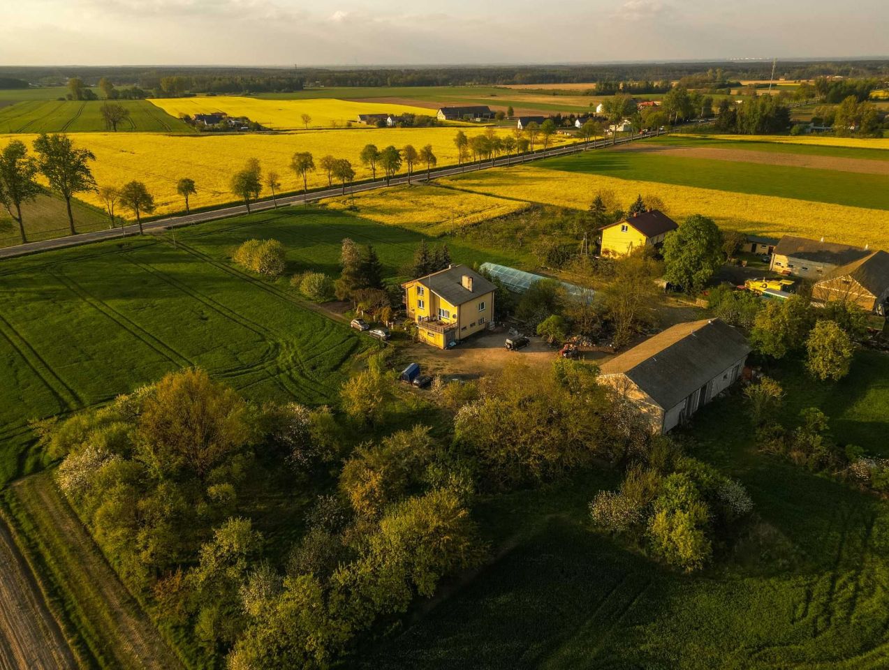 siedlisko Guzew. Zdjęcie 6