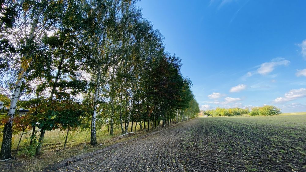 Działka rolna Adamów. Zdjęcie 6