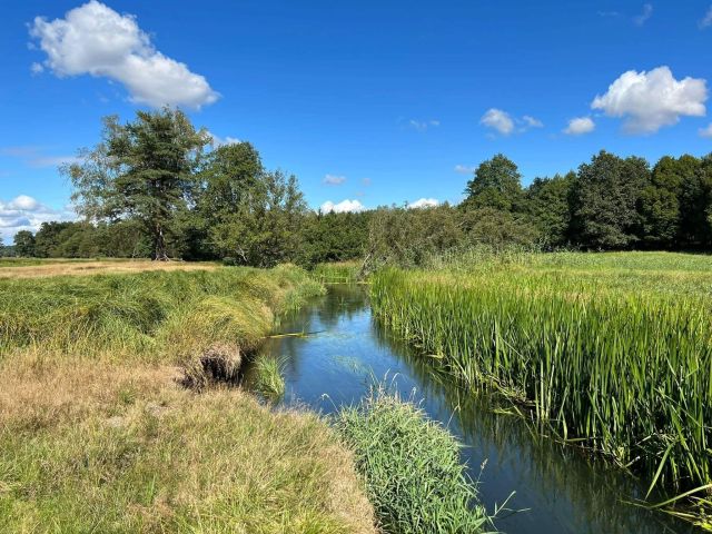 Działka rolna Trzebielino. Zdjęcie 1