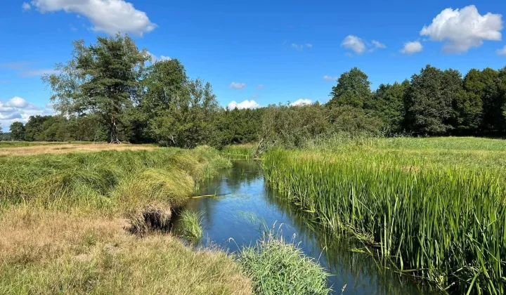Działka rolna Trzebielino